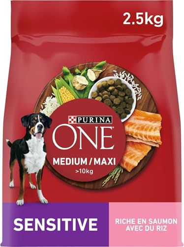 PURINA ONE Medium/Maxi >10kg | Adultes | Sensitive | Croquettes Riches en Saumon pour Chiens| Sac de 2,5kg (Lot de 5)