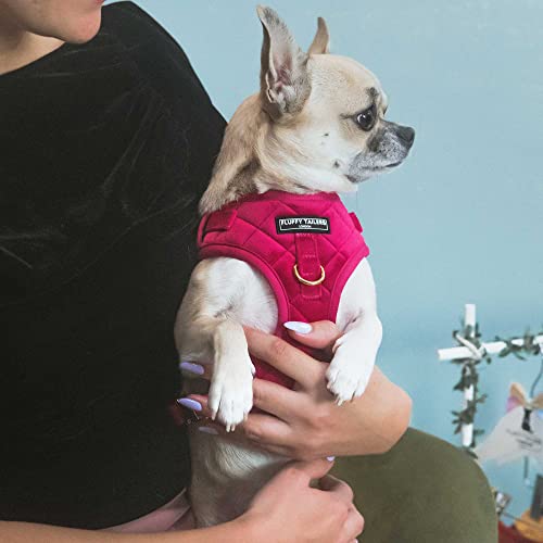 Fluffy Tailers Pretty in Pink Velvet No Pull Adjustable Dog Harness with Breathable Chest Strap for Small Medium & Teacup Sized Dogs - Image 2