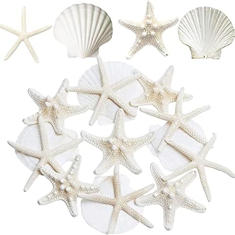 JQAQJU 3-4 Inches Large Starfish and Scallop Shells for Crafts 12PCS, Natural Beach Sea Shells for Crafting, Baking Shells Perfect for White Christmas Decor Beach Party Wedding Fishtank DIY Crafts Cover