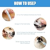 Zoom IMG-2 4 pcs pet toothbrush pen