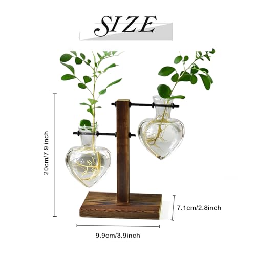 XXXFLOWER Propagation Station Vintage 2 Herzförmige Glaskugeln,Ableger Pflanzen Glas mit Holzständer,Pflanzen Terrarium,Glas Reagenzgläser für Blumen,Hydroponik Blumenvase,Kleine Vasen Tischdeko