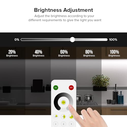 Image of BTF-LIGHTING SP630E Bluetooth Controllers 4 Zones 2.4GHz RF RB1 Remote Kit