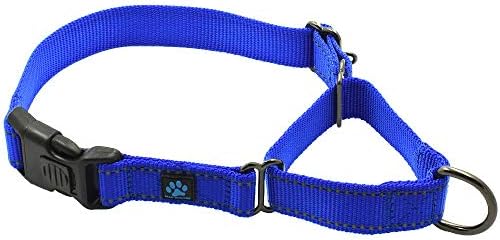Max and Neo Nylon Martingale Collar - We Donate a Collar to a Dog Rescue for Every Collar Sold (Medium/Large, Blue)