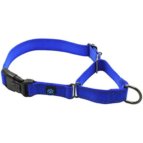 Max and Neo Nylon Martingale Collar - We Donate to a Dog Rescue for Every Collar Sold (Large, Blue)