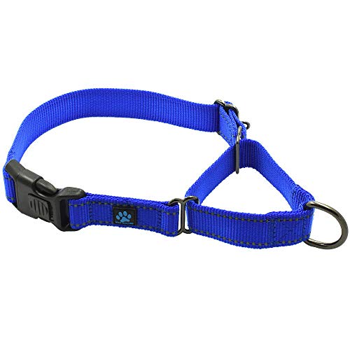 Max and Neo Nylon Martingale Col