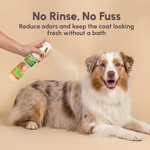 Image of Best Shot Scentament Spa Botanical Body Splash, Detangler Spray, Body Spray for Pets, Cat and Dog Cologne Spray, Mango Maui, 8 Oz.