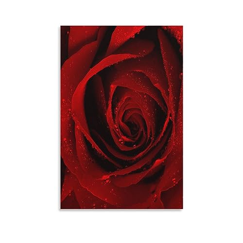 Peinture graffiti rose IOFEER impression sur toile de qualité supérieure