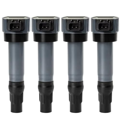 Bobines d'allumage Haima 2 2011 pour réparer les ratés du moteur MW250963