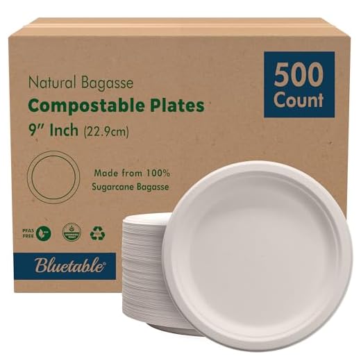 Natural Sugarcane Compostable Plates