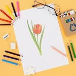 Mini Drawing Colored Pencils Bulk, Small Cute 12 Color Pencils with Sharpener and Eraser Set, 3.5in Short Coloring Pencils for Travel Party Gift (24 Pack)