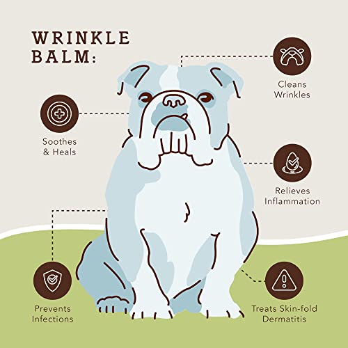 Natural Dog Company Wrinkle Balm, 2 Oz. Stick, Dog Lotion For Dry Itchy Skin, Cleans Wrinkles, Yeast Infection Treatment For Dogs, Plant Based, Frenchie Dog Accessories, Made In Usa #TOP2