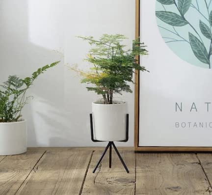 Image of Planter stand indoor rustproof durable stylish modern shelf living room sturdy stable decor decoration Pot Stand mid century - Small (Single small black)