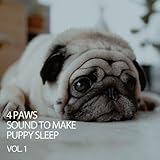 Ambient Ambience