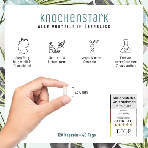 NATURTREU® Calcium hochdosiert mit Vitamin C vegan - 120 Kalzium Kapseln 800mg hochdosiertes Calcium pro Tagesdosis - Ohne Zusatzstoffe