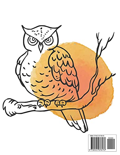 Owls Coloring Book For Kids: Owls Coloring Book For Adults