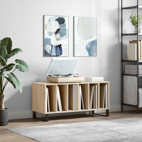 Estantería para discos de vinilo y TV que soluciona la falta de espacio en casa