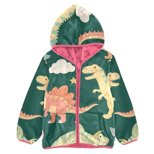 GuoChe Dinosaurs and Clouds Boy Fleece Jacket