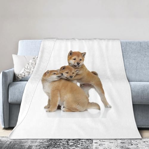 uPbg Č q  tl \t@ѕz |zc ѕz  tluPbg I[V[Y v[g 150X200cm