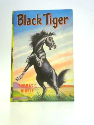 Black Tiger B000VAPGTE Book Cover
