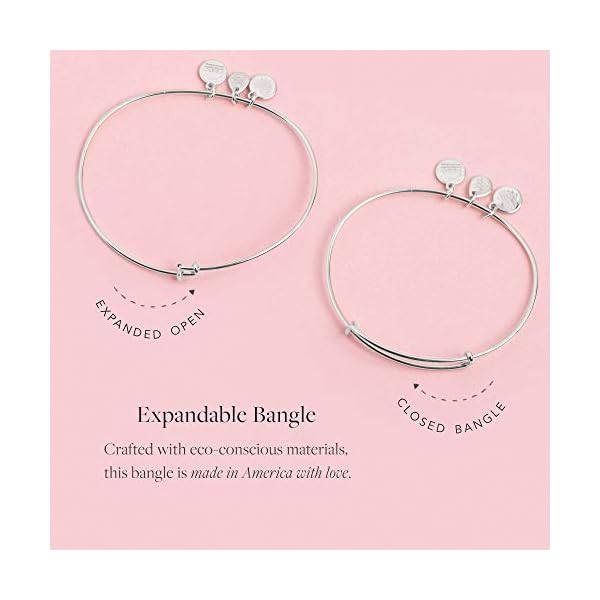 Alex-and-ANI Alex and Ani Soul Sister A18EBSSRS Expandable Bangle Bracelet for Women, Friendship Inscription Charm