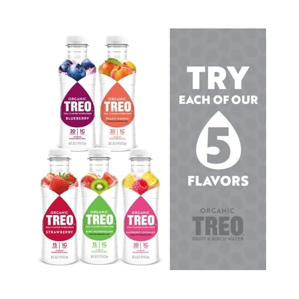 Treo Fruit & Birch Water Drink, Strawberry, USDA Organic, Non-GMO ...