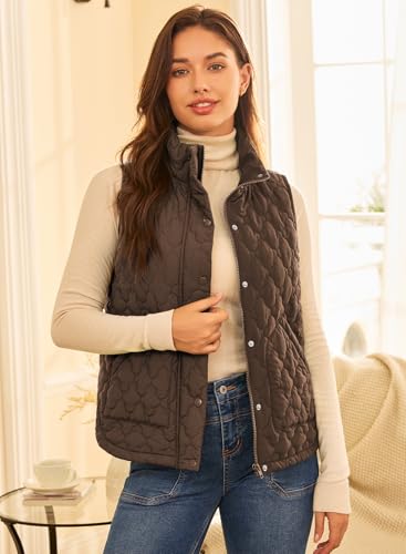 EVALESS Fall Jackets For Women Trendy 2025 Winter Cropped Lightweight Quilted Puffer Vest Fashion Spring Sleeveless Stand Collar Zip Up Outerwear Coat,Dark Brown Medium - Thumbnail 2