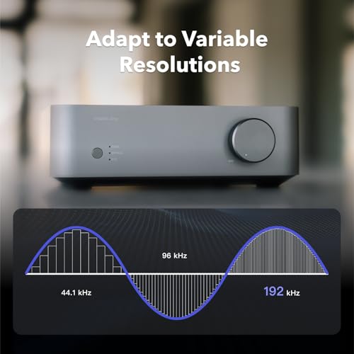 Image of WiiM Vibelink Amp | 100W Power Amplifier with Premium ESS 9039Q2M DAC and TI TPA3255 | Compatible with WiiM Mini, Pro, Pro Plus, and Ultra | RCA, Coax, and Optical Inputs | Space Gray