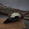 GuoShuang Viking Raven Skull Necklace for Men Women, Crow Skull Pendant on Adjustable Leather Cord, Gothic Halloween Cosplay Norse Jewelry, Gift Pouch Included #3