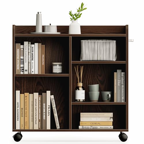 DEWEL {I hZbN [ ɖ{bN 26cm s75cm 74.5cm E։\ LX^[t [I I JE^[[ X{I CD DVD G[ e X q 3i [ ~j  ؐ 