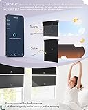 Graywind Motorized Dual Shades for Windows thumbnail 4