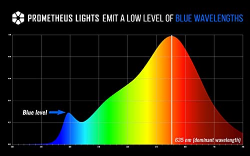 Prometheus Lights Night Time Light Bulb With Low Blue Light For Healthy Sleep Promotion - Set Of 2 #TOP6