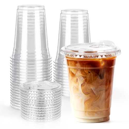 BISWYLBLJ 25 Pack-16 oz Clear Plastic Cups with Sip Lids BPA Free Food Safe Disposable Iced Coffee Cups Sturdy to Go Cups for Smoothies Cold Drinks Party