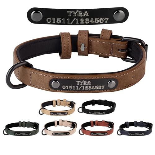 Jacks O Be Hundehalsband Halsband Name Gravur personalisiert Haustier Hund Katze Leder (Dunkel Braun, M)