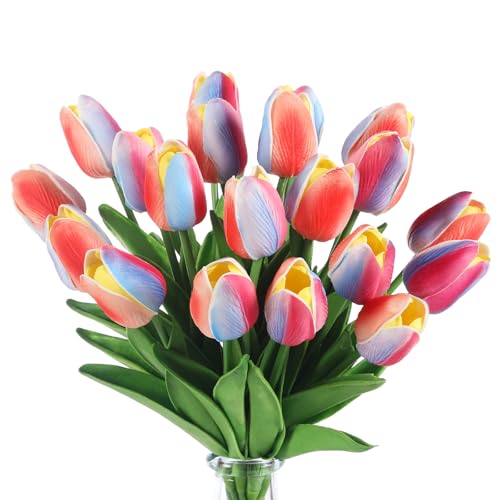 LILUYTO lHC{[`[bv20AtFCN`[bvAA^b`PUfށAArO[AQ̑Ao^Cf[̃MtgɍœK