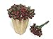 Produktbild 50 Rot Tiny Rose Mulberry Papier Flower Scrapbook Craft 5 mm Karte Hochzeit Puppenhaus