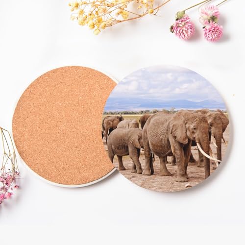 Sous-verre éléphants en céramique, idée cadeau originale nature - 4