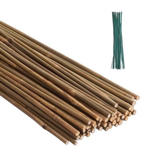10 Best Bamboo Plant Stakes That Will Support Your Garden Stylishly 10 50 Pack Bamboo Stakes for Plants (4.8FT)