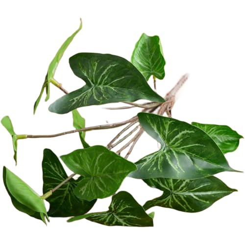 Helilyco Planta artificial Syngonium Podophyllum, 12 cabezas de follaje sintético, tela verde y para flores falsas de PVC suave, decoración del hogar, boda, 25 cm de altura