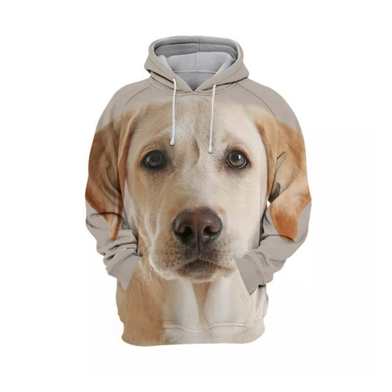 Pull à capuche homme labrador pour vos balades décontractées