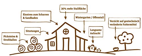 Green Petfood FarmDog Mini Grainfree (1 x 10 kg), getreidefreies Hundefutter mit Tierwohl-Hühnchen, nachhaltiges Trockenfutter für wachsende und ausgewachsene Hunde, 1er Pack