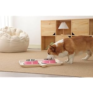 Stainless Steel Dog Bowls, Food and Water Non Slip Anti Skid Stackable Pet Puppy Dishes for Small, Medium and Large Dogs (2 Pack) Stainless Steel Dog Bowls, Food and Water Non Slip Anti Skid Stackable Pet Puppy Dishes for Small, Medium and Large Dogs (2 Pack)