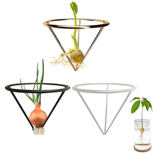 3 soportes para cultivo de aguacate, soporte para cultivo de aguacate, soporte triangular para árbol de aguacate