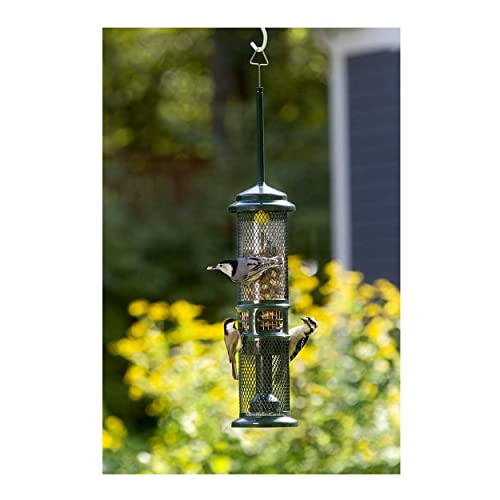 Brome Squirrel Solution 200 Squirrel-Proof Bird Feeder With 6 Feeding Ports Bundle With Squirrel Buster Nut Feeder Squirrel-Proof Bird Feeder For Nuts And Fruit (2 Items) #TOP4