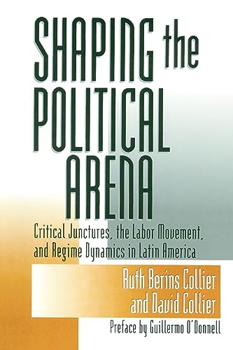 Shaping the Political Arena (Kellogg Institute Series on Democracy and Development)