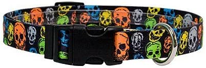 Yellow Dog Design Martingale Slip Collar, Neon Skulls, Medium 20"