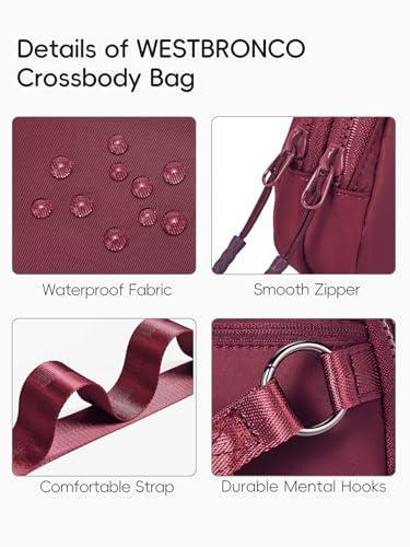 Image of WESTBRONCO Small Crossbody Bags for Women Nylon with Adjustable Strap, Zipper Crossbody Purse, 1L Shoulder Bag for Travel