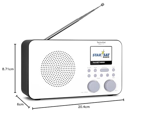 TechniSat VIOLA 2 C IR - tragbares Internetradio (DAB+, UKW, WLAN, 2.4 Zoll Farbdisplay,...