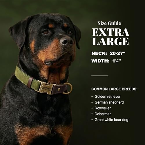 Image of Personalized Dog Collars, Quick Release Buckle, Olive Green,XL