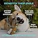 Native Pet Yak Cheese Himalayan Dog Chews - Long Lasting Dental Sticks for Large Breeds – 100% All Natural Himalayan Yak Chews for Large Dogs – Cheese Bone for Aggressive Chewers - 3 Per Pack