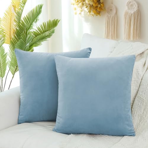 QUORGVES Velvet Light Blue Throw Pillows 18x18 Inch Set of 2 Summer Light Blue Pillow Covers for Sofa Couch Bedroom Soft Square Dusty Coastal Sky Baby Blue Pillow Covers QUORGVES Velvet Light Blue Throw Pillows 18x18 Inch Set of 2 Summer Light Blue Pillow Covers for Sofa Couch Bedroom Soft Square Dusty Coastal Sky Baby Blue Pillow Covers